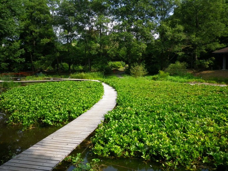 The Tsukuba Botanical Garden, Japan